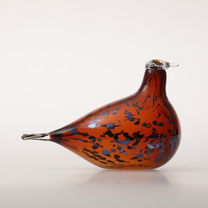 Birds Pekkasiini コッパーブラウン 0048