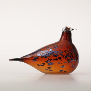 Birds Pekkasiini コッパーブラウン 0049