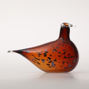 Birds Pekkasiini コッパーブラウン 0050