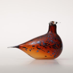 Birds Pekkasiini コッパーブラウン 0051