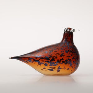 Birds Pekkasiini コッパーブラウン 0052