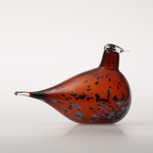 Birds Pekkasiini コッパーブラウン 0053