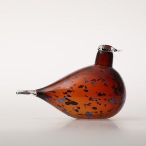 Birds Pekkasiini コッパーブラウン 0054