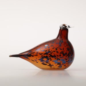 Birds Pekkasiini コッパーブラウン 0056