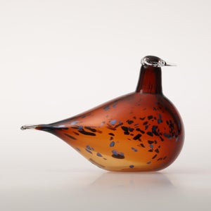 Birds Pekkasiini コッパーブラウン 0057