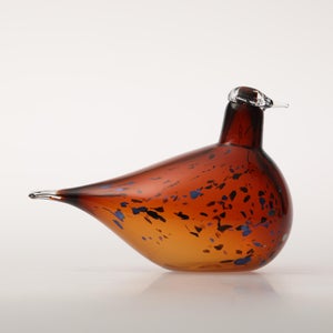 Birds Pekkasiini コッパーブラウン 0058