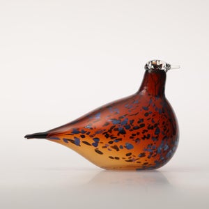 Birds Pekkasiini コッパーブラウン 0059