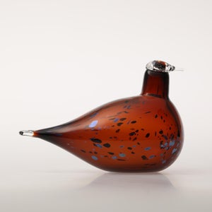 Birds Pekkasiini コッパーブラウン 0060