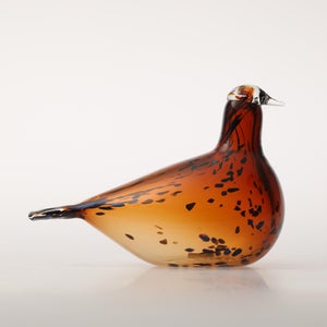 Birds Pekkasiini コッパーブラウン 0061