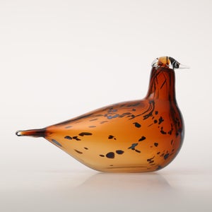 Birds Pekkasiini コッパーブラウン 0062