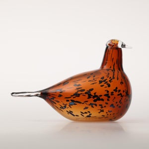 Birds Pekkasiini コッパーブラウン 0063