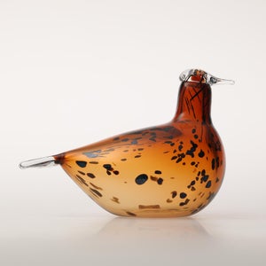 Birds Pekkasiini コッパーブラウン 0064