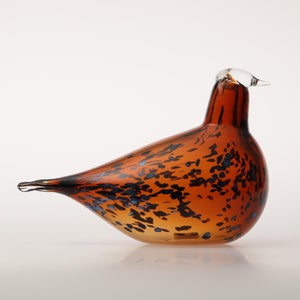 Birds Pekkasiini コッパーブラウン 0065