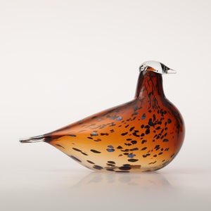 Birds Pekkasiini コッパーブラウン 0066