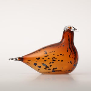 Birds Pekkasiini コッパーブラウン 0068