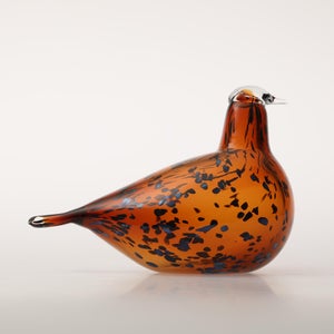 Birds Pekkasiini コッパーブラウン 0069