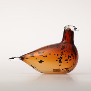 Birds Pekkasiini コッパーブラウン 0071