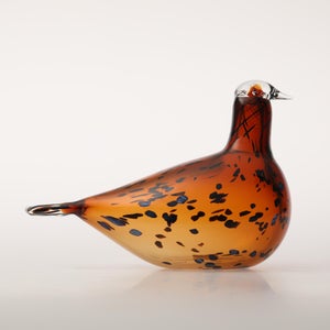 Birds Pekkasiini コッパーブラウン 0072