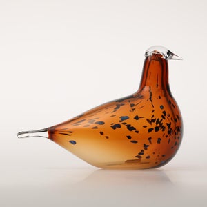 Birds Pekkasiini コッパーブラウン 0073