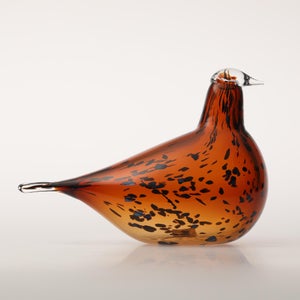 Birds Pekkasiini コッパーブラウン 0074