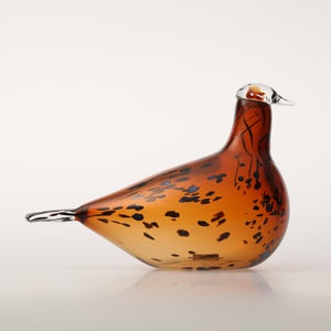 Birds Pekkasiini コッパーブラウン 0075