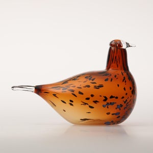 Birds Pekkasiini コッパーブラウン 0077