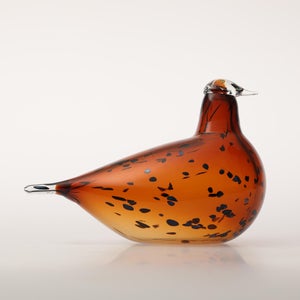 Birds Pekkasiini コッパーブラウン 0078