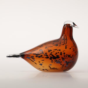 Birds Pekkasiini コッパーブラウン 0079