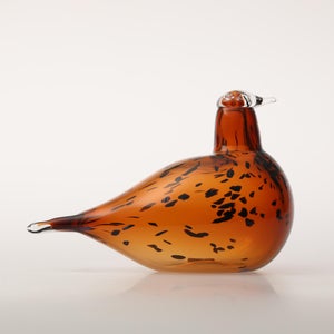 Birds Pekkasiini コッパーブラウン 0080