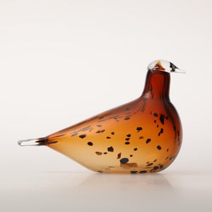 Birds Pekkasiini コッパーブラウン 0081