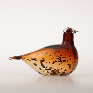 Birds Pekkasiini コッパーブラウン 0082