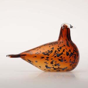 Birds Pekkasiini コッパーブラウン 0083