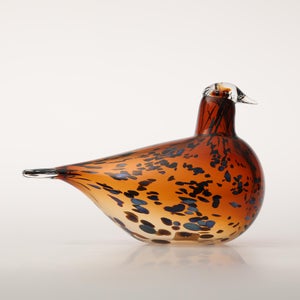 Birds Pekkasiini コッパーブラウン 0084