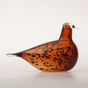 Birds Pekkasiini コッパーブラウン 0085