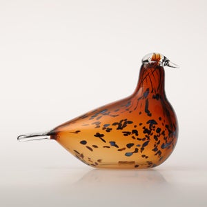 Birds Pekkasiini コッパーブラウン 0086