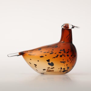 Birds Pekkasiini コッパーブラウン 0087