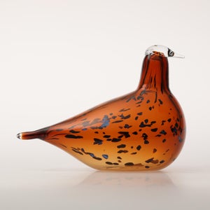 Birds Pekkasiini コッパーブラウン 0088