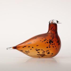 Birds Pekkasiini コッパーブラウン 0089