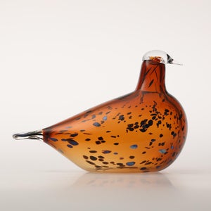 Birds Pekkasiini コッパーブラウン 0090