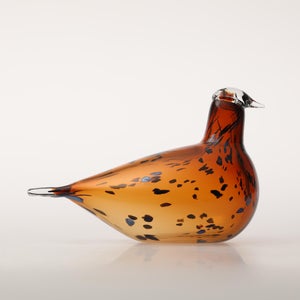 Birds Pekkasiini コッパーブラウン 0092