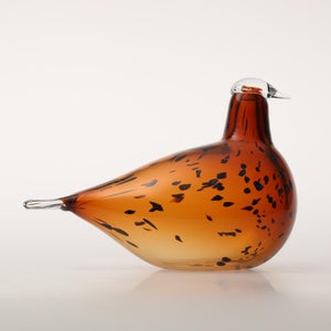 Birds Pekkasiini コッパーブラウン 0093