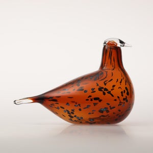 Birds Pekkasiini コッパーブラウン 0094