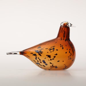 Birds Pekkasiini コッパーブラウン 0095