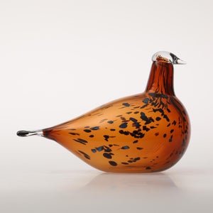 Birds Pekkasiini コッパーブラウン 0096