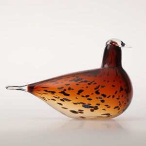 Birds Pekkasiini コッパーブラウン 0097