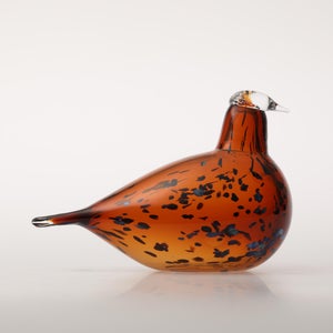 Birds Pekkasiini コッパーブラウン 0098