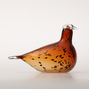 Birds Pekkasiini コッパーブラウン 0099