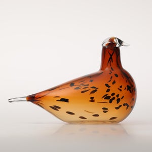 Birds Pekkasiini コッパーブラウン 0100