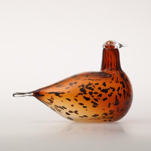 Birds Pekkasiini コッパーブラウン 0101