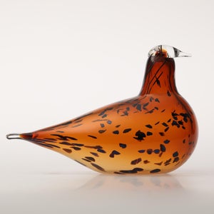 Birds Pekkasiini コッパーブラウン 0102